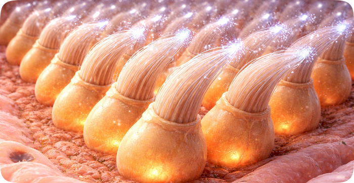 Wake Up Dormant Cells